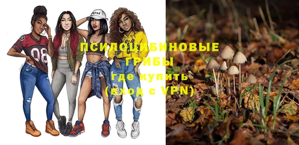 mix Алексеевка
