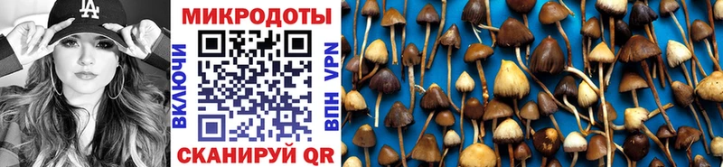 omg ONION  Пущино  Галлюциногенные грибы Magic Shrooms 